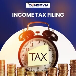 Income Tax E-filling